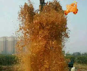 客戶案例